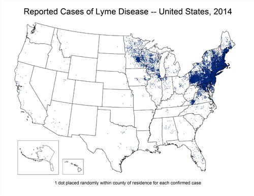 Cases of Lyme in USA